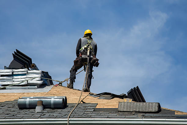 Professional Storm Damage Roof Repair technician working in Dexter, IA